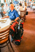 Load image into Gallery viewer, EVrider Auto-Folding Mobility Scooter - TEQNO